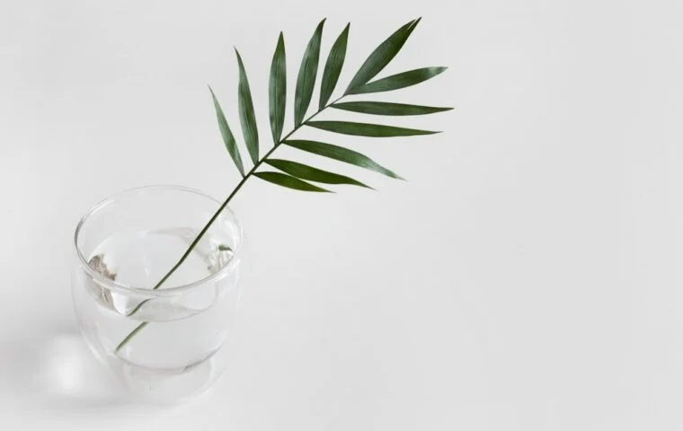 Le Vodun n'est pas une Religion : Comprendre la Plus Grande Incomprehension sur le Vodun — Hounon Mietonou, Ouidah Benin