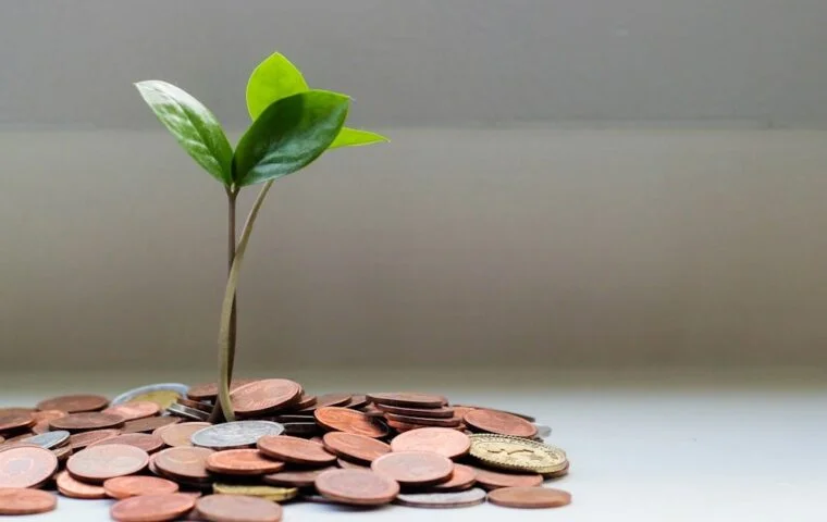 Pacte Spirituel pour Attirer la Richesse et l'Abondance — Tradition Vodun — Hounon Mietonou, Ouidah Benin