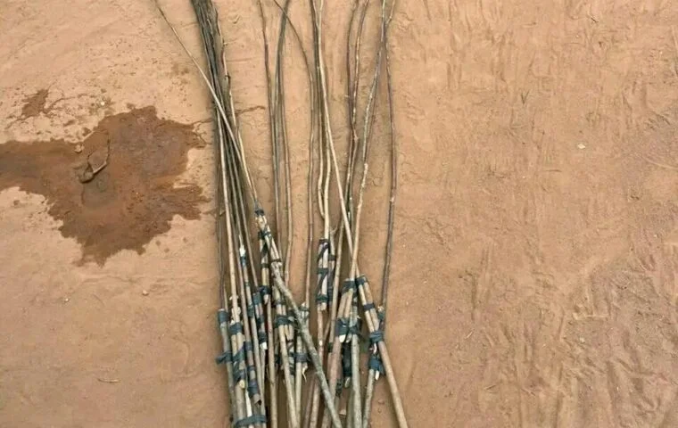 Batons rituels Vodun force et retour — dangers retour affectif choc retour Ouidah Maitre Mietonou