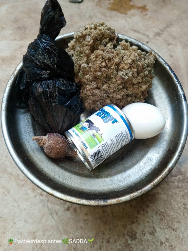 Objet rituel sacre Vodun Ouidah Benin