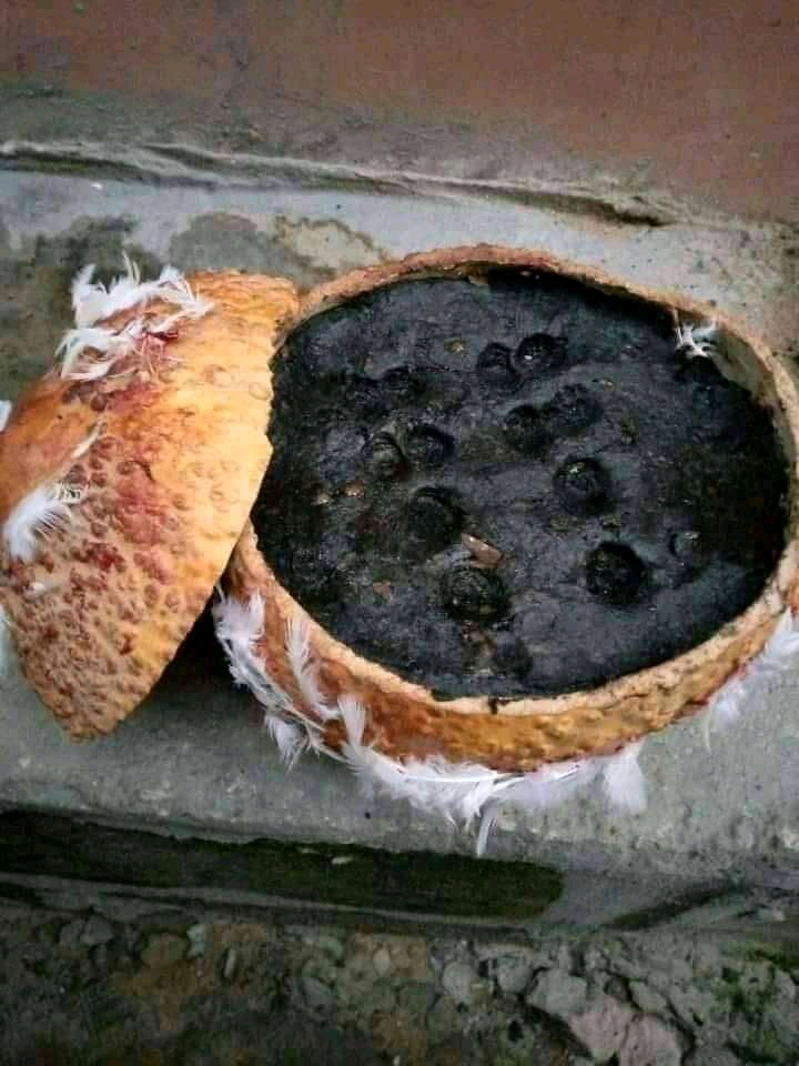Seance desenvoutement purification Vodun