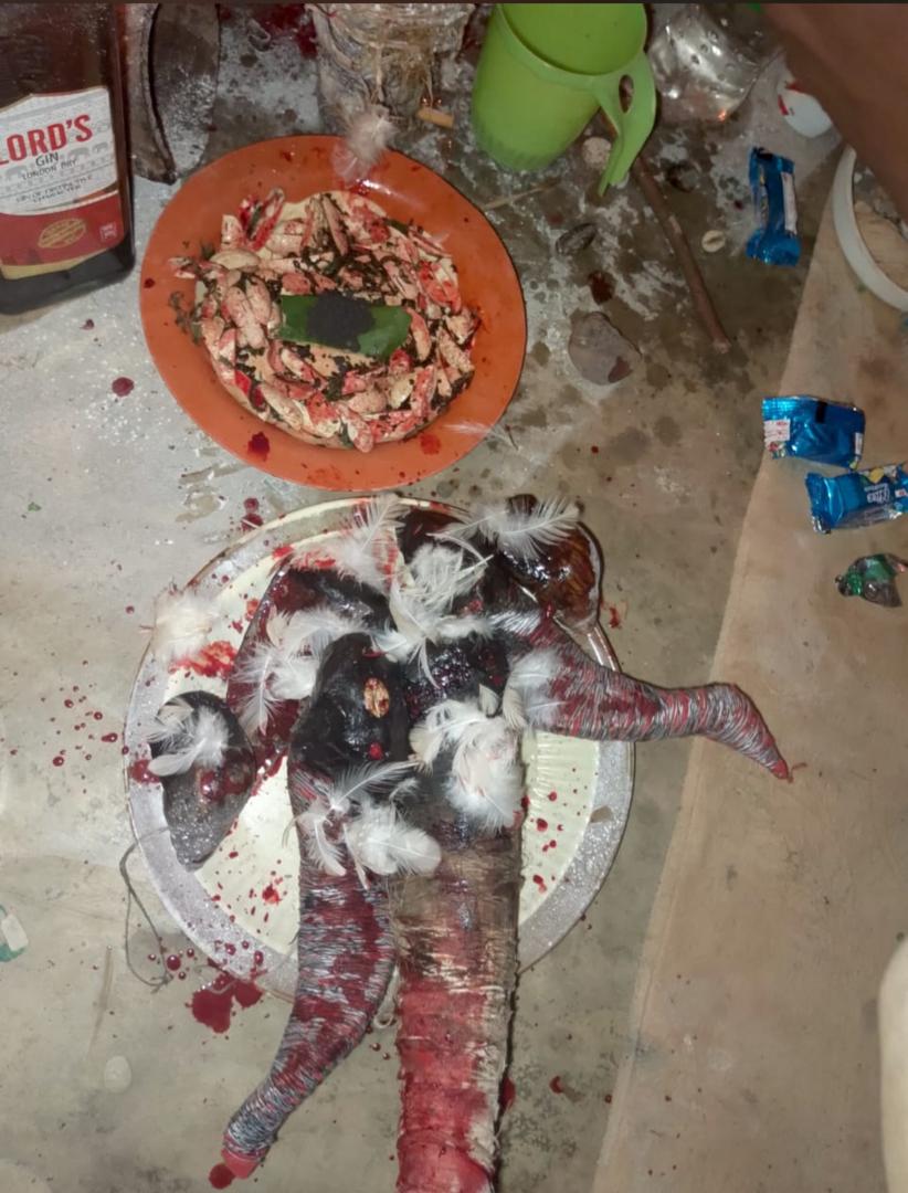 Preparation autel Vodun tradition Ouidah